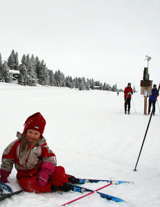 - Vi har Europas beste skil�yper