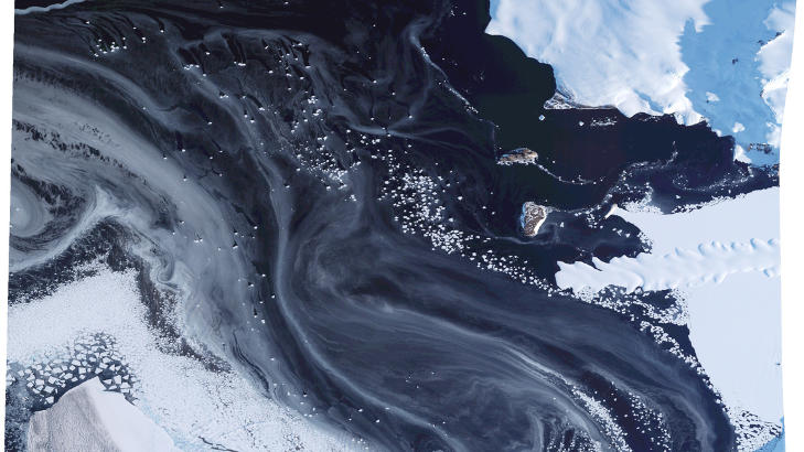 SLIK SER DET UT:N�r en satelitteier laster ned bilder etter bestilling legger de ut en s�kalt �Quick look�. Det betyr at man kan se satelittbildet i d�rligere oppl�sning. Dette bildet er tatt av det amerikanske satelittselskapet i omr�det hvor Berserk sist ga lyd fra seg. Oppl�sningen p� bildet er 25 meter. Foto: Digitale Globe