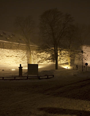 PST-mann d�mt for sexkj�p