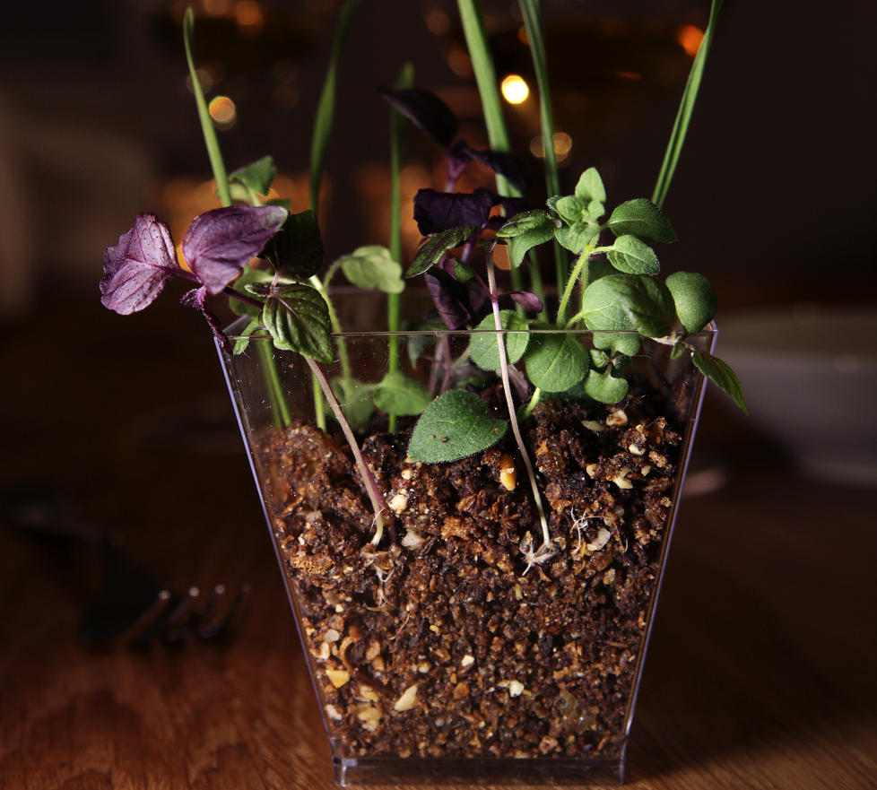 Optisk illusjon: Rynker du p� nesa hvis du f�r beskjed om � spise innholdet i blomsterpotta som st�r p� bordet? Da er det greit � vite at jorda er spiselig. Foto: Mette Randem.