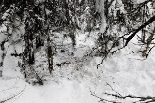 GRAVD NED: Liket av Faiza ble gravd ned like ved ei skil�ype i Solli-omr�det. Foto:Jacques Hvistendahl/Dagbladet