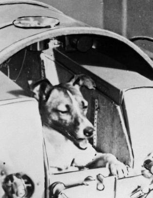 - Sendte de virkelig den hunden ut i rommet?