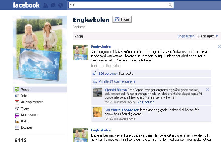 ENGLEHJELP: Her er noen av meldingene p� Engleskolens nettsider l�rdag kveld.