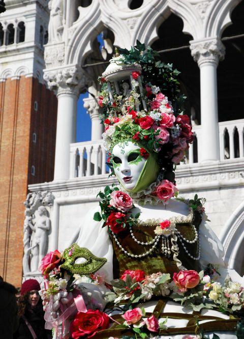 BLOMSTRENDE KOSTYME: V�ren er p� vei! Alle foto: LINN HERREDSVELA og H�VARD LANDR�