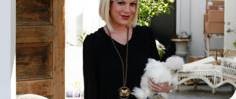 Glem veskehunder, n� er det h�ner som gjelder