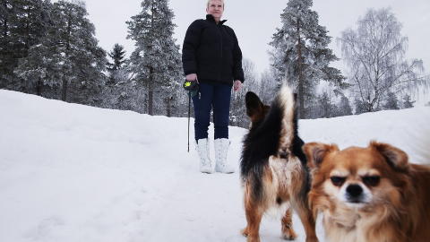 TRIVES ALENE: - Vi som er født i mars er kunstneriske av oss. Det kjenner jeg meg igjen i, sier Toril Rype som driver med porselen på fritida. Hun jobber som resepsjonist på et legekontor etter en lang karriere på vaskeriet på Dikemark. Foto: Lars Myhren Holand TRIVES ALENE: - Vi som er født i mars er kunstneriske av oss. Det kjenner jeg meg igjen i, sier Toril Rype som driver med porselen på fritida. Hun jobber som resepsjonist på et legekontor etter en lang karriere på vaskeriet på Dikemark. Foto: Lars Myhren Holand