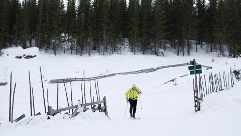 Foto: Agnete Brun / Dagbladet Foto: Agnete Brun / Dagbladet