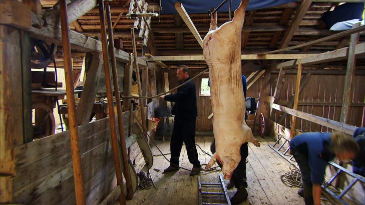 BLE MAT: Deltakerne p� �Farmen� fikk hjelp til � slakte grisen, som ble kj�rkommen mat. Foto: TV 2