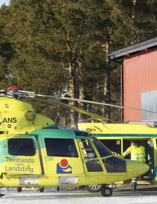 Svensk gutt angrepet av bjørn