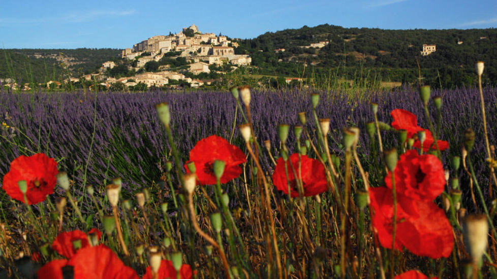  PROVENCE:  Her finner du en matfestival for enhver smak i sommer. Foto: Alpes Haute Provence.
