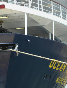 Mistet syk pasient over bord fra cruiseskip
