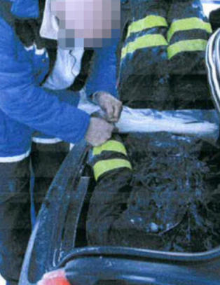 Tror ikke på drapssiktedes Dexter-forklaring