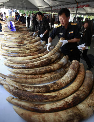 To tonn støttenner beslaglagt i Thailand