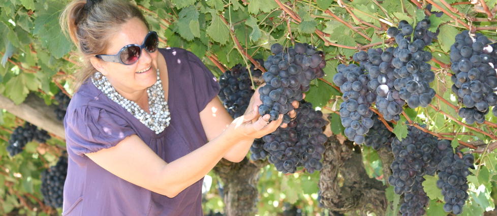 AFRIKA: Alida Keet fra Cape Town viser fram en perfekt Afrika-formet drueklase til eksport fra Masons Winery. Foto: TONE VASSB�
