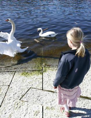 Er det plass til barn i Bj�rvika?