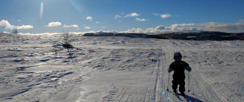 La Turistforeningen v�re barnevakt