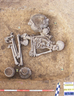 Homofilt skjelett ut av skapet