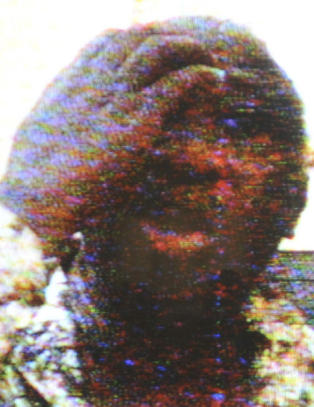 Her er Gbagbo pågrepet