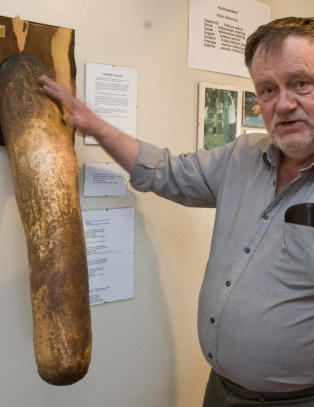 Fikk «syltet» menneskepenis