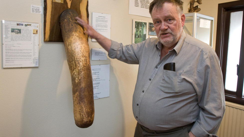 kontaktannonser på nett barbere penis kontaktannonser på nett barbere penis