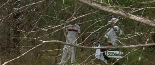 Her g�r golfstjernen seg fullstendig vill i skogen