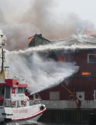 Fiskebruk i full fyr i Lofoten