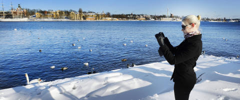 Dette huset samler fotoglade fra hele verden