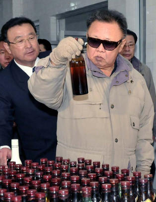 Gro skal overtale Kim Jong Il til å lytte