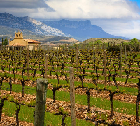 RIOJA: Vinmarkene ligger i ly av Sierra de Cantabria. Foto: JAMES JANISSE