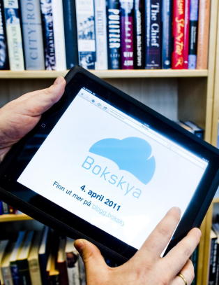 Hvor blir det av ebok-entusiasmen?