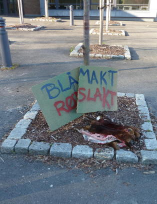 Spikret d�de kaniner opp i tr�rne p� naboskolen