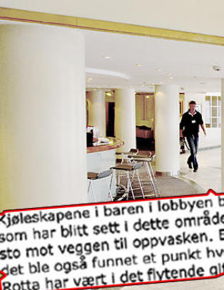 Rotte hamstret nøtter i baren
