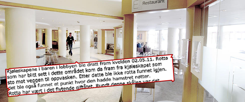 Rotte hamstret nøtter i baren