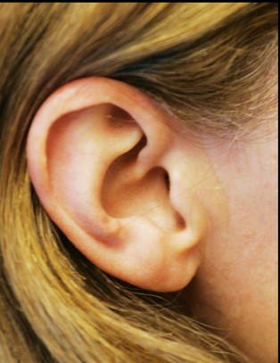 Advarer mot behandling som skal hindre �revondt p� flyet