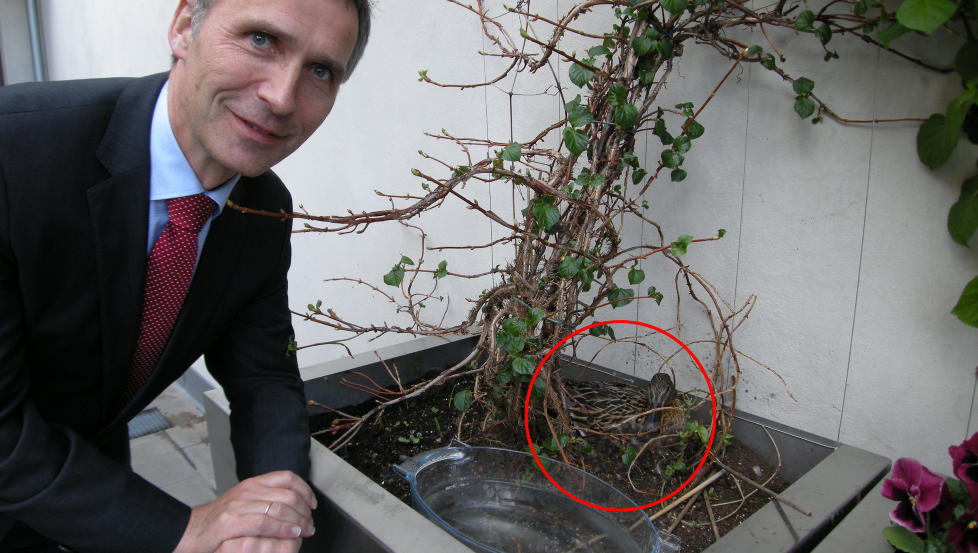 STATSMINISTERAND: Jens Stoltenberg og den hittil navnl�se anda. Foto: Jens Stoltenberg p� twitter