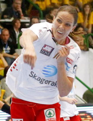 Gro forklarer Norge-nei