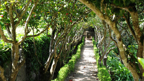 SVALT: Skyggefulle stier. Foto: MARIANNE OTTERDAHL-JENSEN