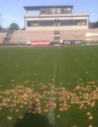 Slik s� Nedre Eiker stadion ut i dag tidlig