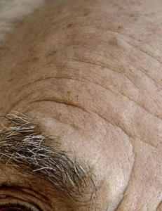 - Evnene har g�tt utover familien