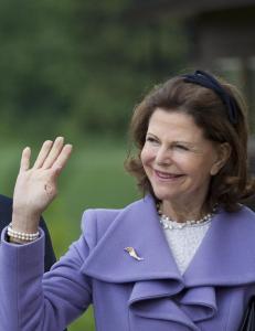 Silvia droppet gifteringen