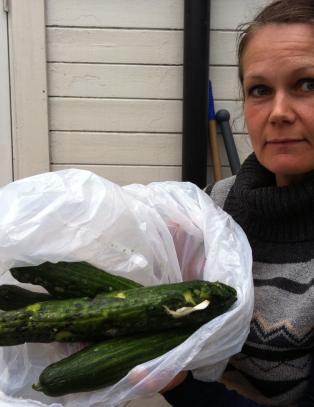 Frykter disse agurkene kan ha d�dsbakterien
