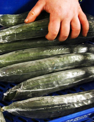 - �kologisk mat er trygg