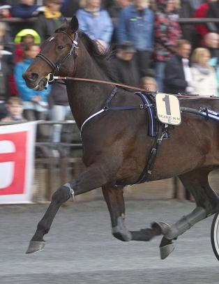 Svensk-norsk hest dopingtatt i Oslo GP
