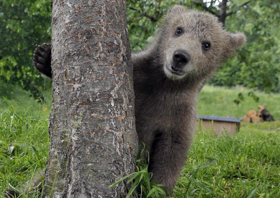 TITT TEI: Medo poserer for kameraet. Foto: REUTERS/Srdjan Zivulovic/SCANPIX