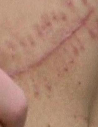 17-�ring solgte nyra si for � f� r�d til en iPad