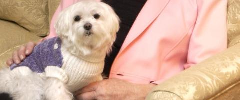Verdens rikeste hund er d�d