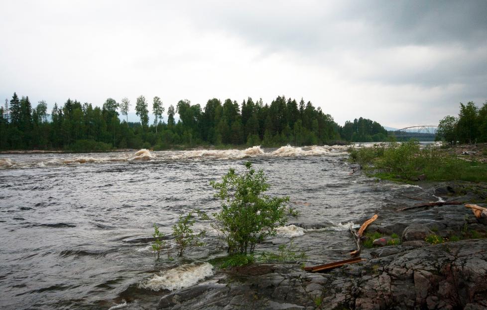 STRI: Vitner s� mannen forsvinne utfor Eidsfossen rett s�r for V�ler sentrum. Glomma er sv�rt stri og dyp n�, og letearbeidet er vanskelig. Foto: TOM SPJELDNES/NDP
