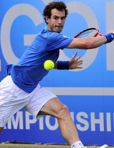 Murray knuste Roddick i semifinalen