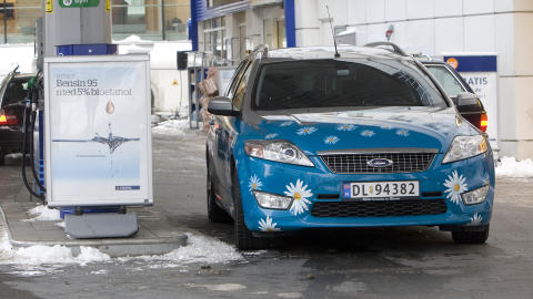 SKADER MILJ�ET: De fleste typer biobrensel f�rer til �kte utslipp av CO2, ikke en nedgang. I Norge har Klimadirektoratet n� begynt � tenke seg om. Det samme har EU og FN. 
Foto: Morten Holm / Scanpix