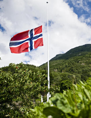 - Vanskelig � finne ord
